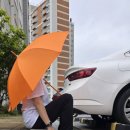 신성세탁 | MACCI 마찌 에어포뮬러 ROKA 트레이팅 팬츠 솔직 후기｜신성어패럴 믿고 입는 편안한 트레이닝팬츠
