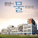 아쿠아마켓 이미지