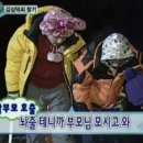 돌고래하우스 이미지