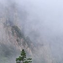 세왕