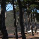 초록여울 캠핑장 이미지