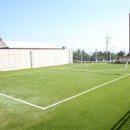 두몽&달금 이미지