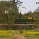 은빛세탁소 이미지