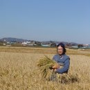 구만리농장 이미지