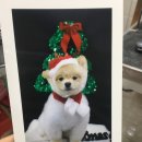 견사무소 호텔 유치원 이미지