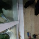 장아산로 이미지