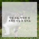 양천한의원 이미지