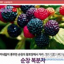 농업회사법인(주)행복한밥상