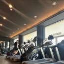 몸조아짐 피트니스 이미지