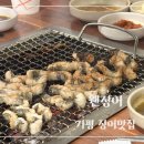 웬장어 이미지