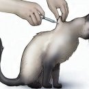 (주)내원산업 이미지