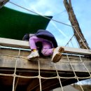 양평양떼목장 이미지