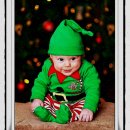 반려동물의상제작 이미지