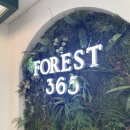 [부천카페] 부천시청역 대형카페 FOREST 365, 쑥인절미 케이크 후기