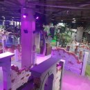 최우영 인성태권도장 이미지