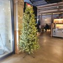 봉곡동149 | [구미 봉곡 맛집] 10달러 스테이크 맛집 ‘코지하우스’ | 구미 패밀리레스토랑