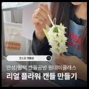 (원데이)히아시스 플라워 캔들 | 평택/천안/오산/안성 원데이클래스 리얼플라워캔들 원데이