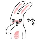 콩냥카페 이미지