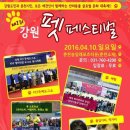펫페스티벌