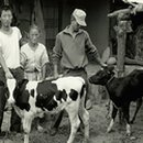 숭실농장 이미지