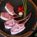 팜핑제주 이미지