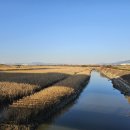 하단동232 이미지