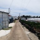 강정동-6 이미지