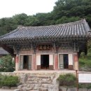 [백파] ☆ 낙동강 1300리 종주 이야기 (60) ② 부산 화명동→ 삼락동 이미지