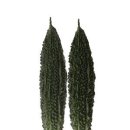 여주-0401 이미지