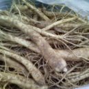 병현농장 이미지