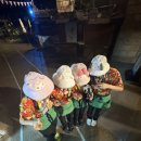 에버라이프