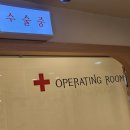 하나로동물병원 이미지