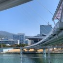 수영교 | 부산 해운대 신상 야경 맛집 '수영강 휴먼브릿지' 개통 다녀온 후기 주차꿀팁