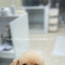 마음이네 멍발소 이미지