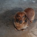 빈티지카페안 이미지