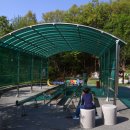 가야금(주간) 이미지