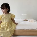 벌룬플라워 이미지