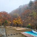 플로팅웨일 설악도적폭포스테이 이미지