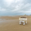 1004섬수석미술관 이미지