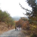 지천생태길 이미지