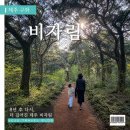 힐링산책코스 | 제주 비자림 숲길 :: 6세 아이와 힐링 산책 코스 솔직 후기