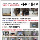 하모리-46 이미지