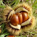 지암농장 이미지