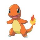 파이리코 이미지