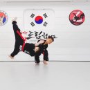 드림태권도전문도장 Daum카페