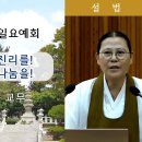 ﻿[원불교 설교] "세상에 중도의 진리를! 이웃에 은혜의 나눔을!" [원불교중앙총부 일요예회] 109.09.08 - 예타원 배현송 교무 이미지