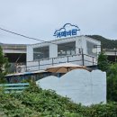 좌천역 | 부산 광산마을 핑크뮬리 좌천역 카페바람 내돈내산후기