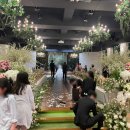 학운교 관악대로 공원쪽 | 웨딩홀투어 안양 마레보&amp;빌라드지디 상담후기 (당일계약O) - 1층홀, 3층홀, 비슷한 베뉴