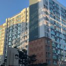 대출 규제에 '마곡'도 얼어붙었다…"파리 한 마리 없어요" 이미지