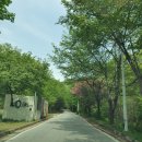 씨유 진도한결점 | 충주 켄싱턴리조트 캠핑감성 BBQ 패키지 with 소형견 후기